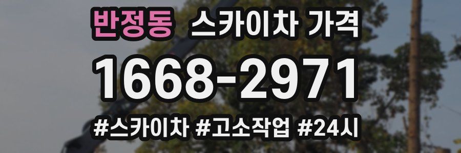 반정동 스카이차 가격