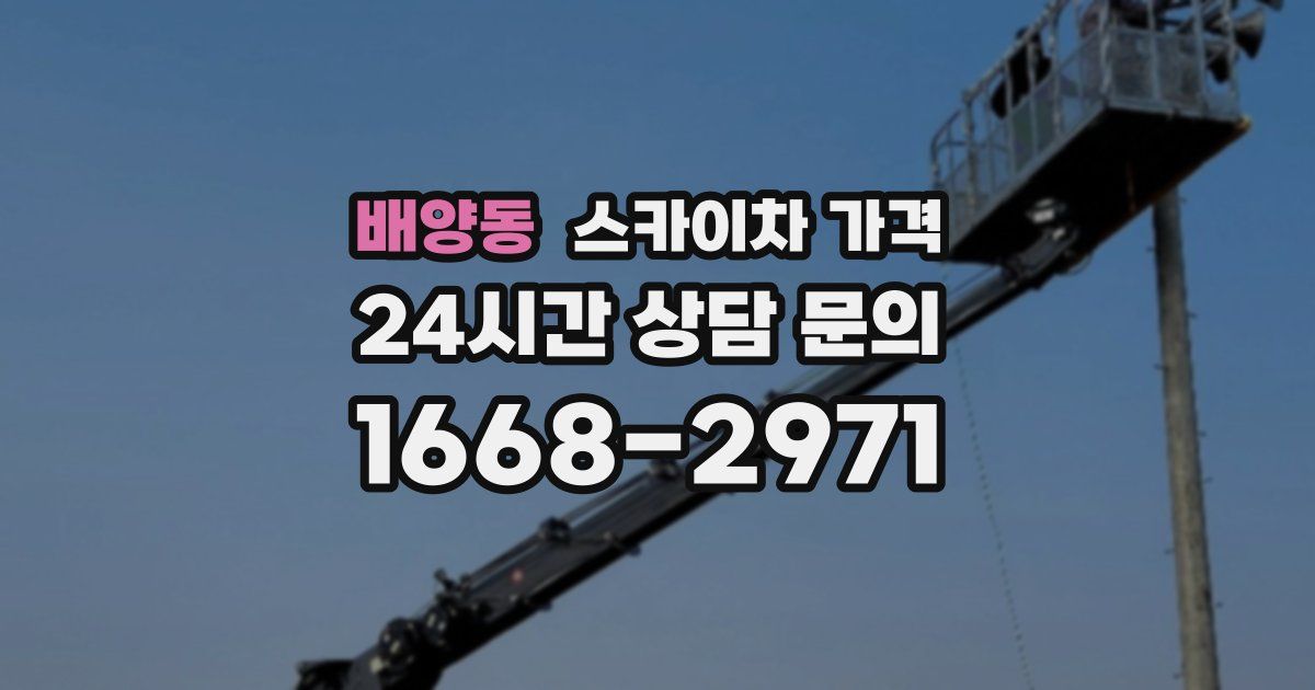 배양동 스카이차 가격