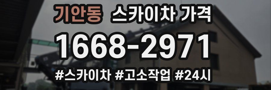 기안동 스카이차 가격