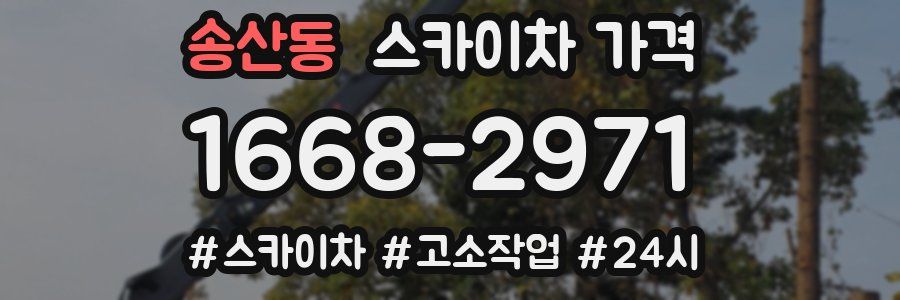 송산동 스카이차 가격