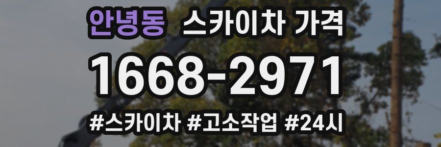 안녕동 스카이차 가격