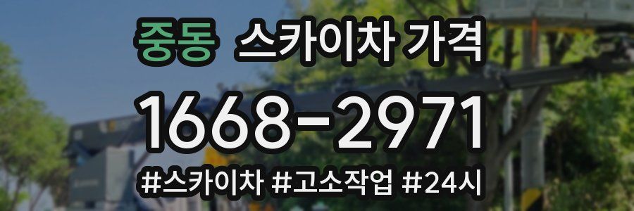 중동 스카이차 가격