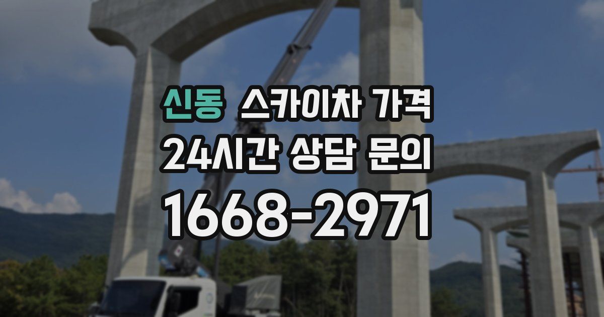 신동 스카이차 가격