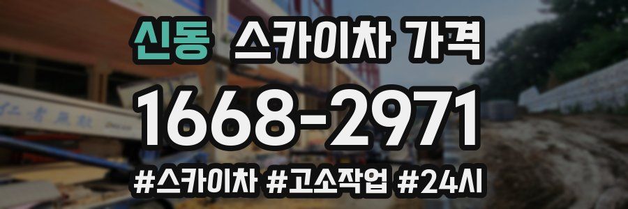 신동 스카이차 가격