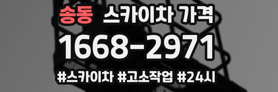 송동 스카이차 가격