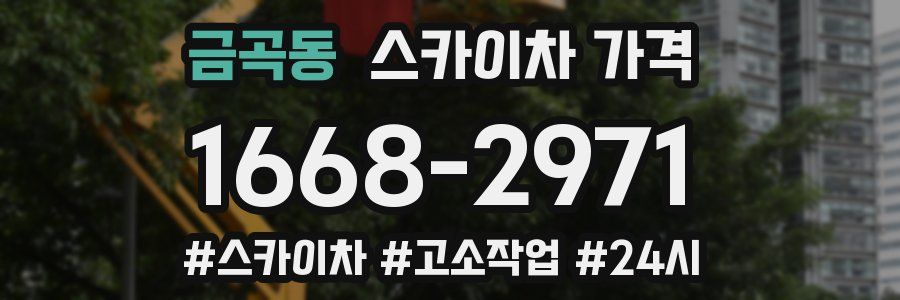 금곡동 스카이차 가격