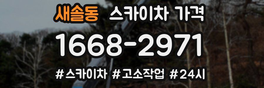 새솔동 스카이차 가격