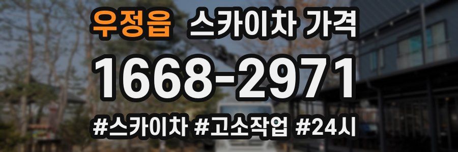 우정읍 스카이차 가격