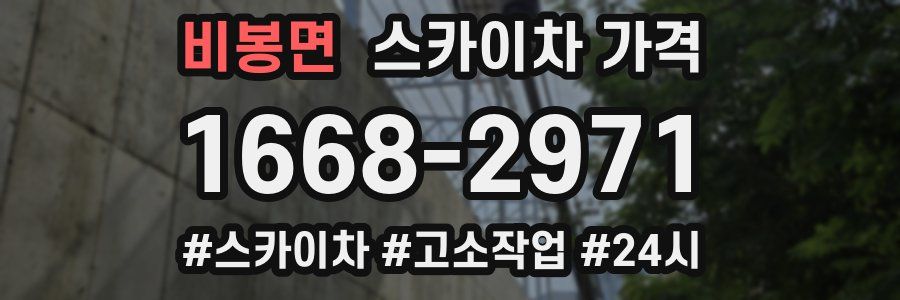 비봉면 스카이차 가격