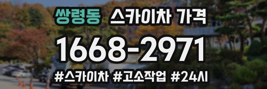 쌍령동 스카이차 가격