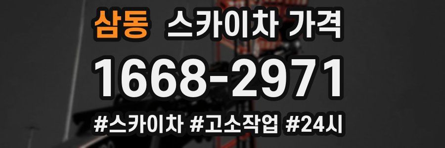 삼동 스카이차 가격