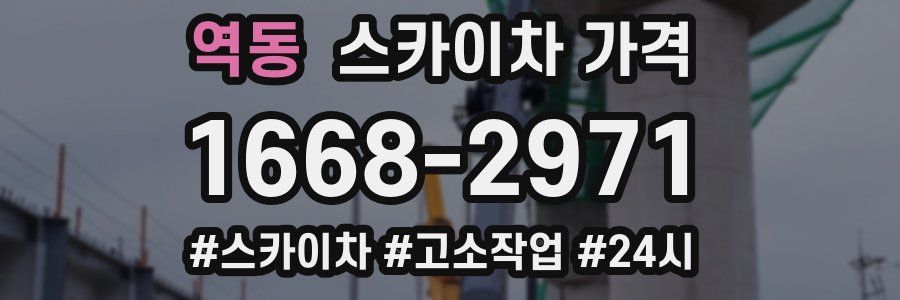 역동 스카이차 가격