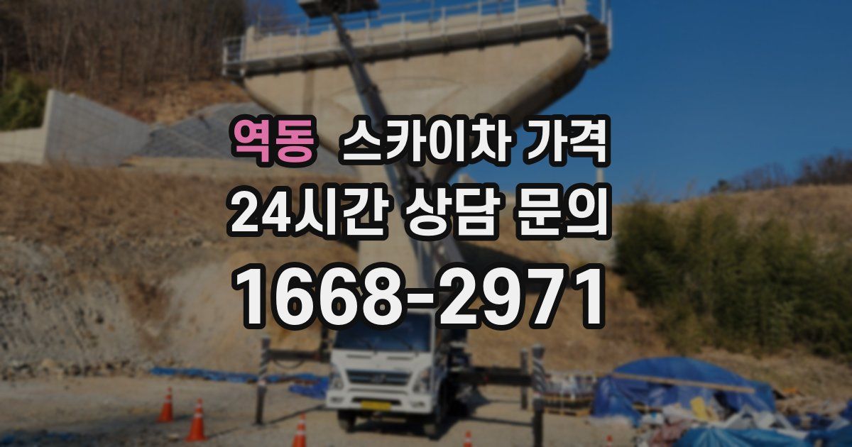 역동 스카이차 가격