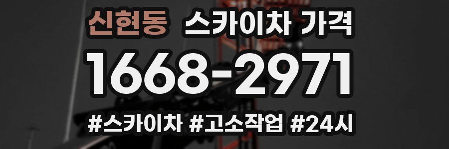 신현동 스카이차 가격