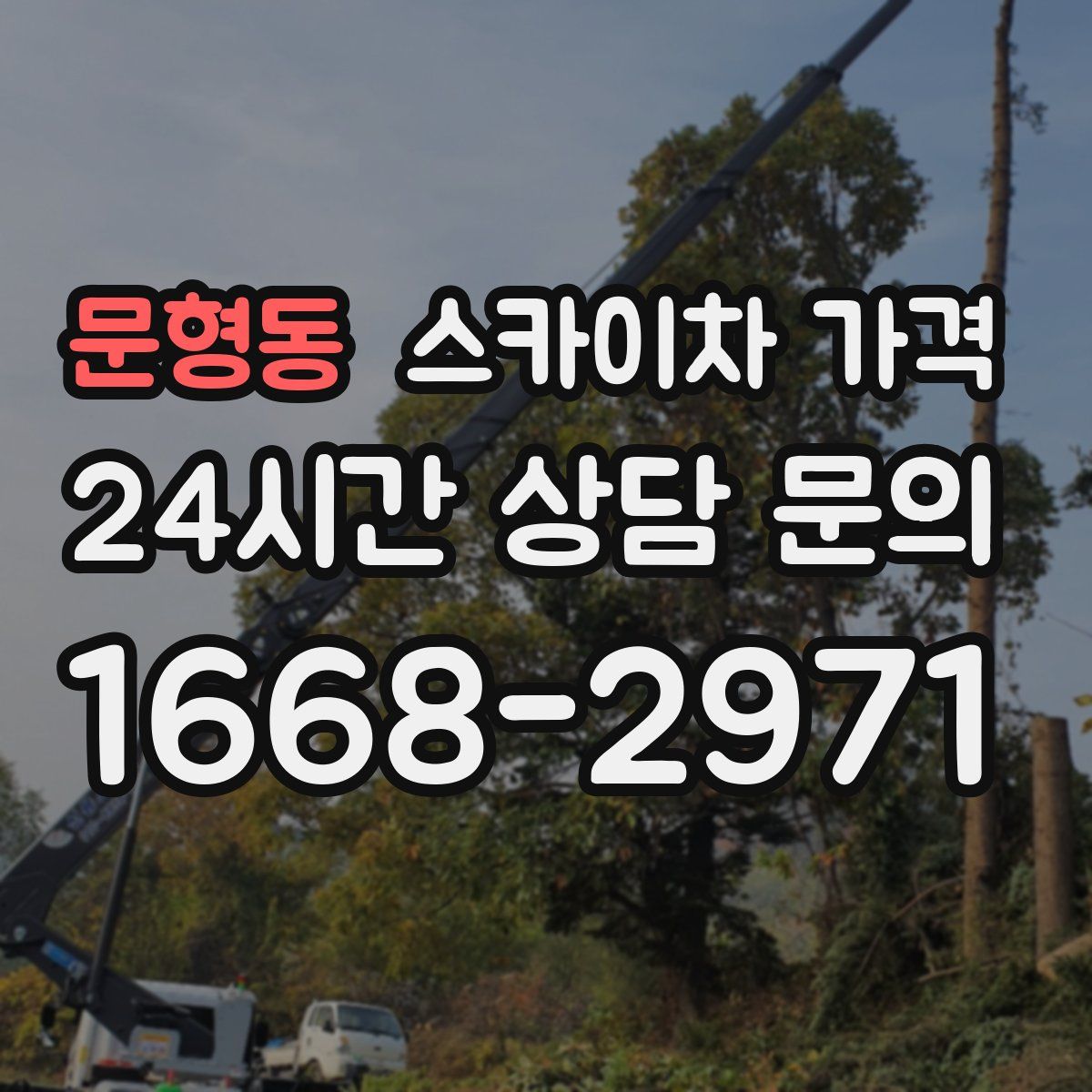 문형동 스카이차 가격