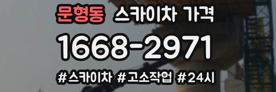 문형동 스카이차 가격