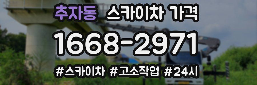 추자동 스카이차 가격