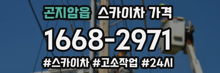 곤지암읍 스카이차 가격