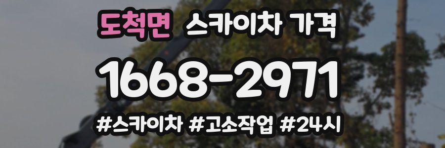 도척면 스카이차 가격