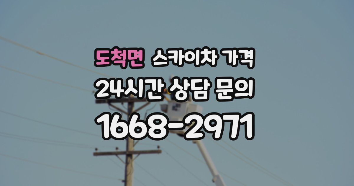 도척면 스카이차 가격