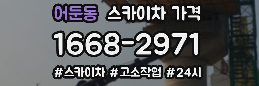 어둔동 스카이차 가격