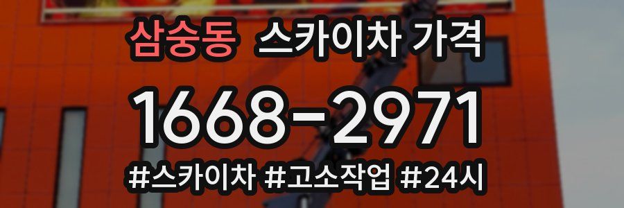 삼숭동 스카이차 가격