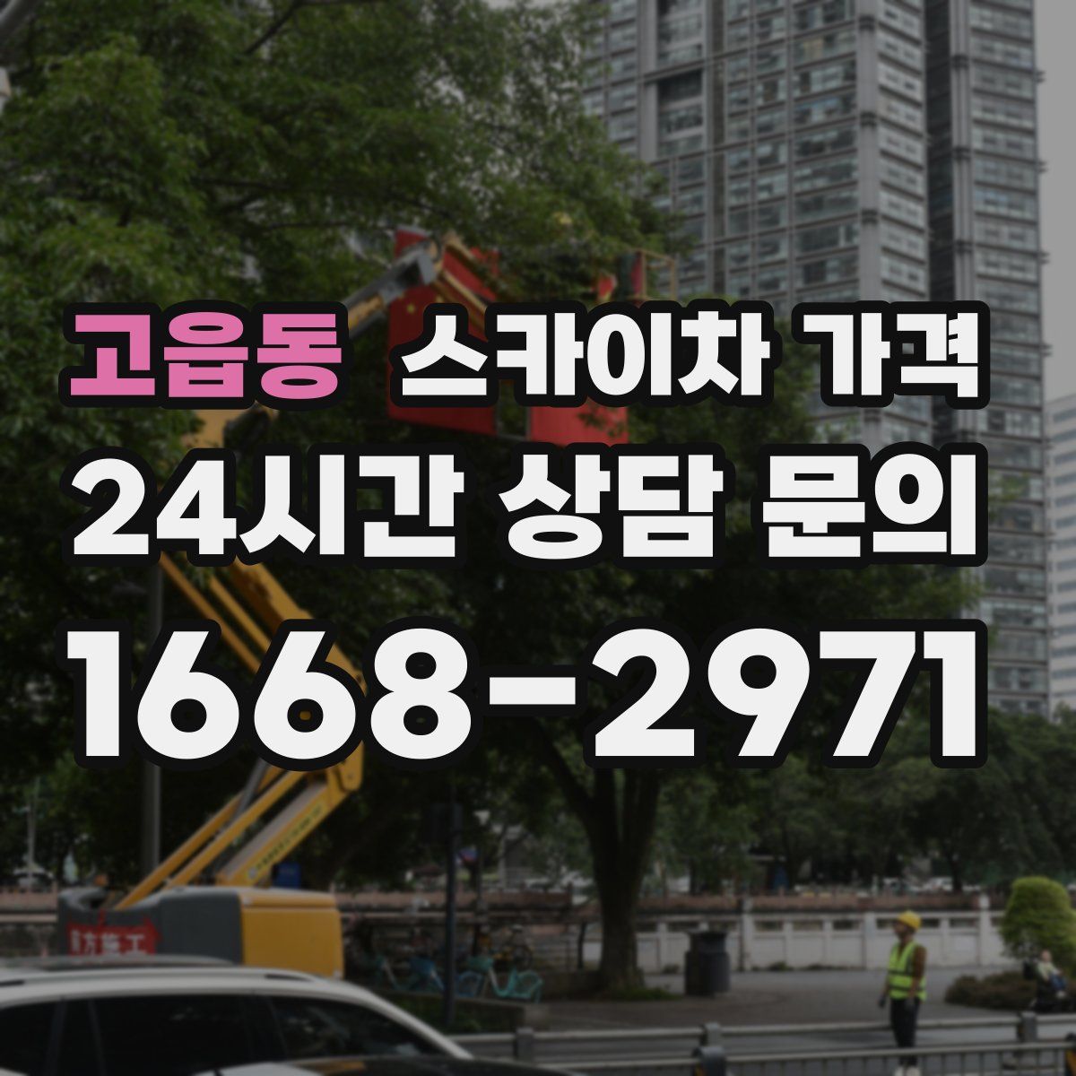 고읍동 스카이차 가격