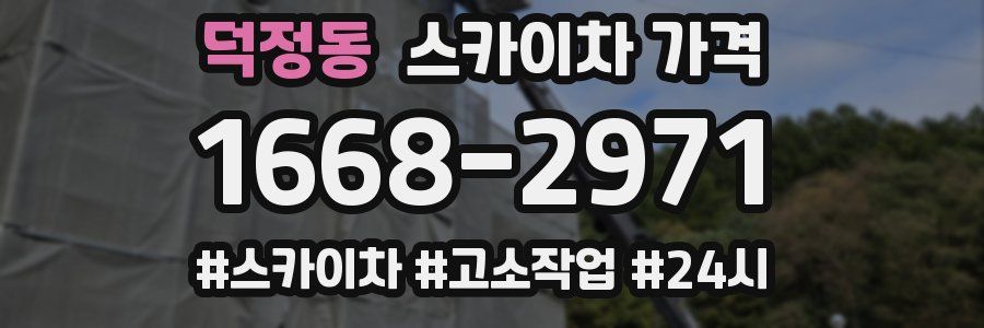 덕정동 스카이차 가격