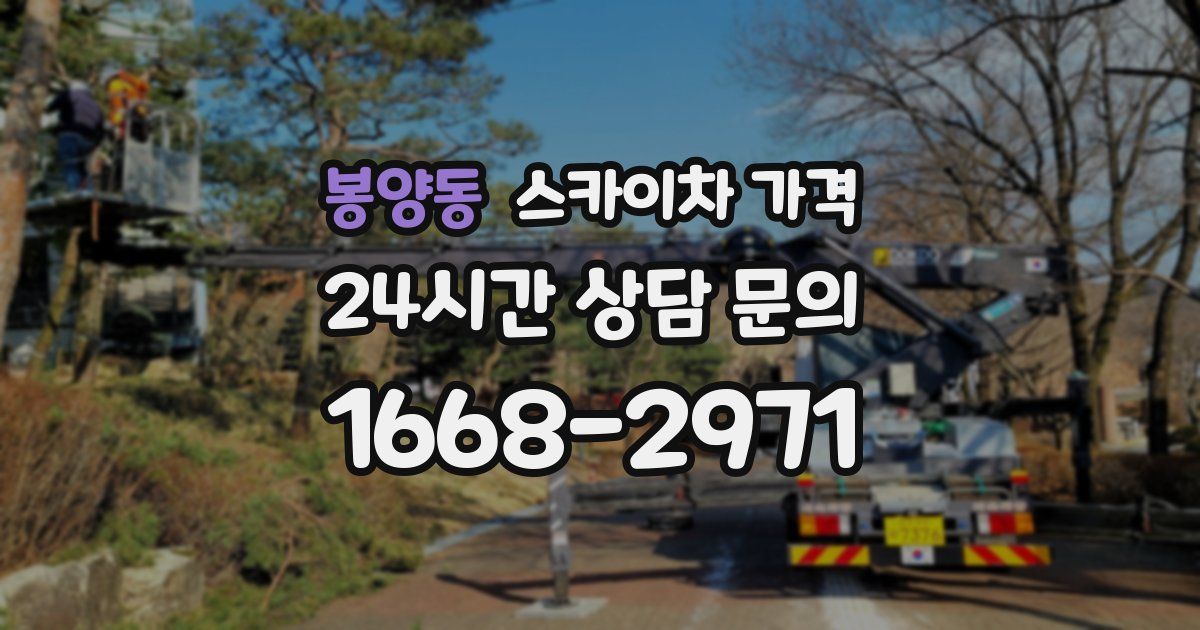 봉양동 스카이차 가격