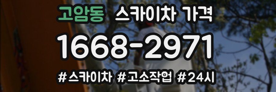 고암동 스카이차 가격