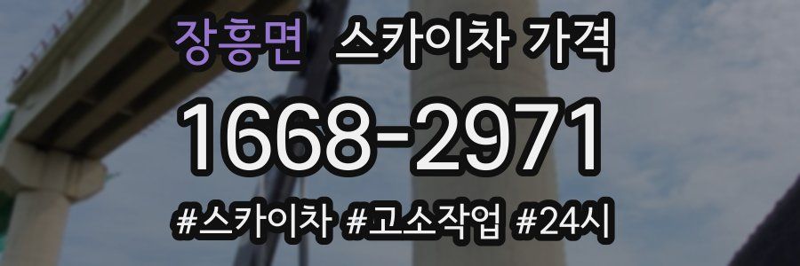 장흥면 스카이차 가격