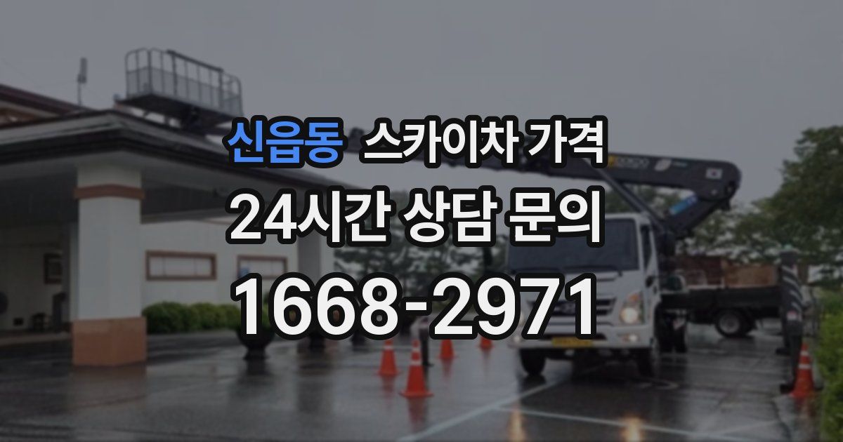 신읍동 스카이차 가격