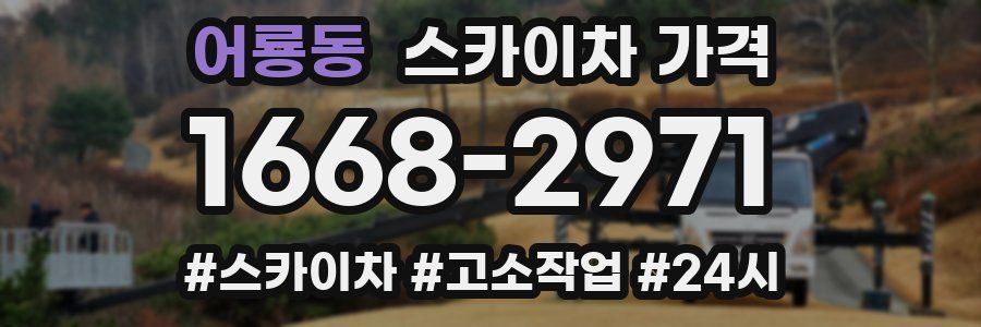 어룡동 스카이차 가격