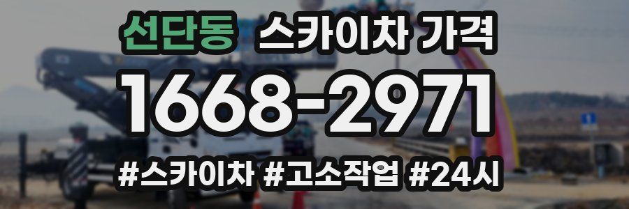 선단동 스카이차 가격