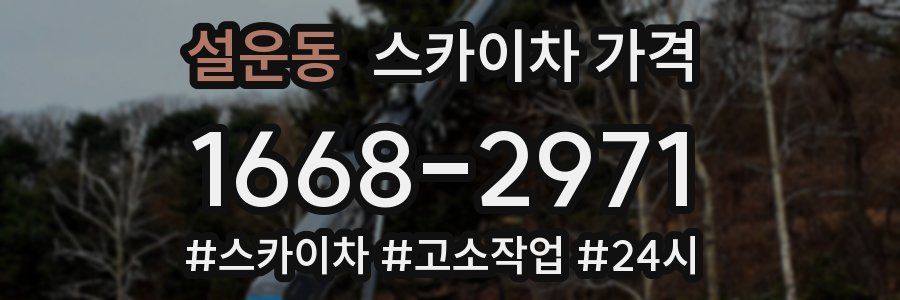 설운동 스카이차 가격