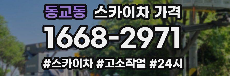 동교동 스카이차 가격