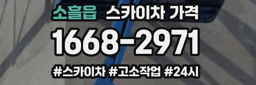 소흘읍 스카이차 가격