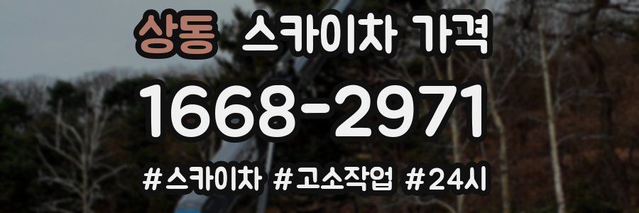 상동 스카이차 가격