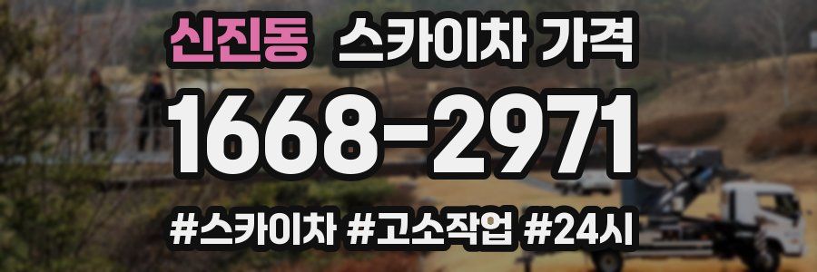 신진동 스카이차 가격