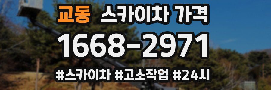 교동 스카이차 가격