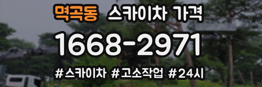 멱곡동 스카이차 가격