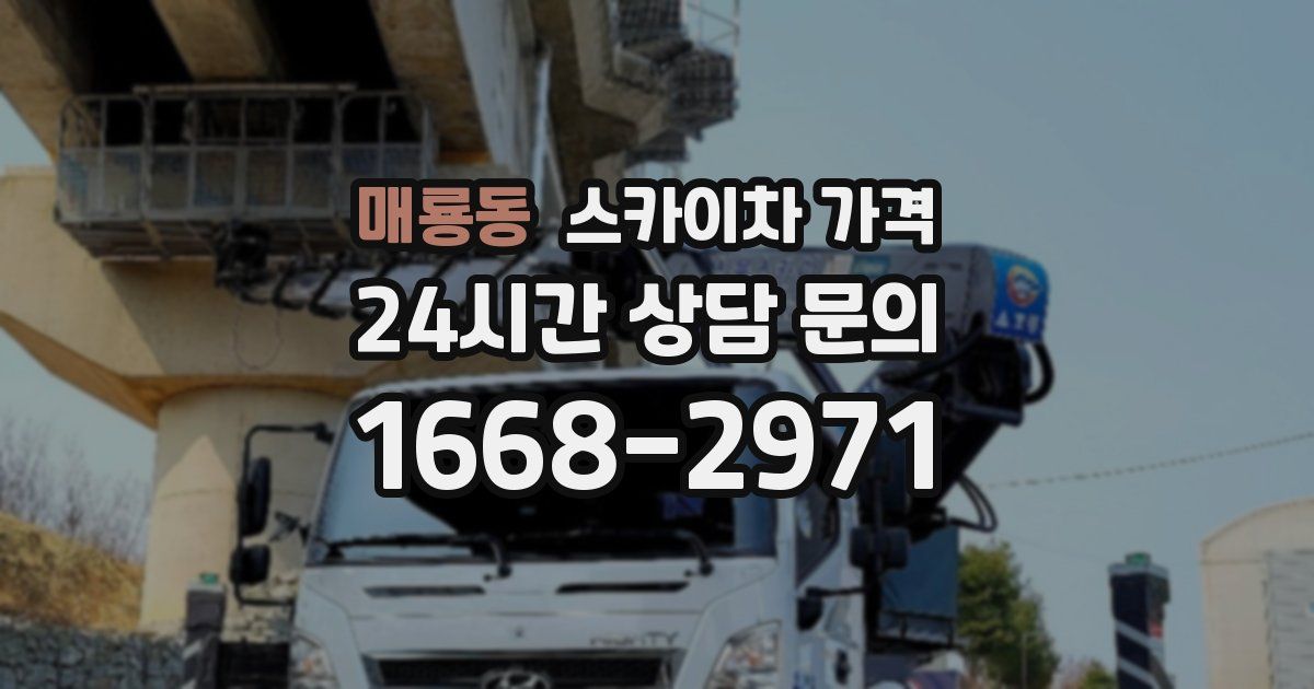 매룡동 스카이차 가격