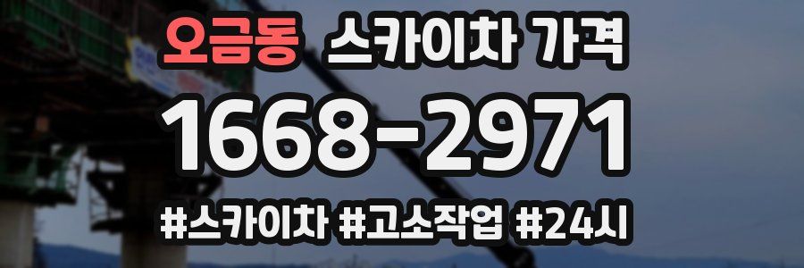 오금동 스카이차 가격