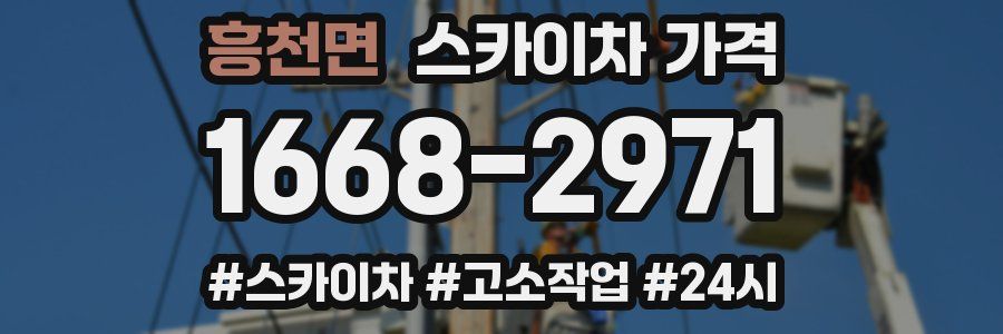 흥천면 스카이차 가격