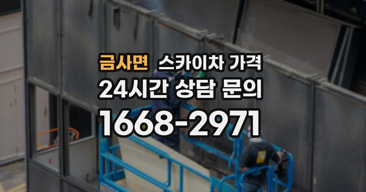 금사면 스카이차 가격