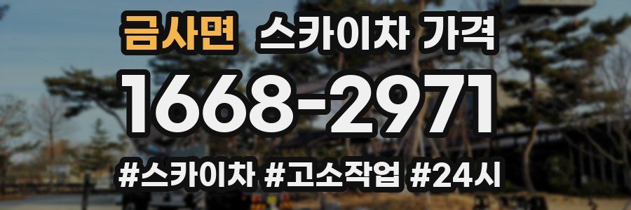 금사면 스카이차 가격