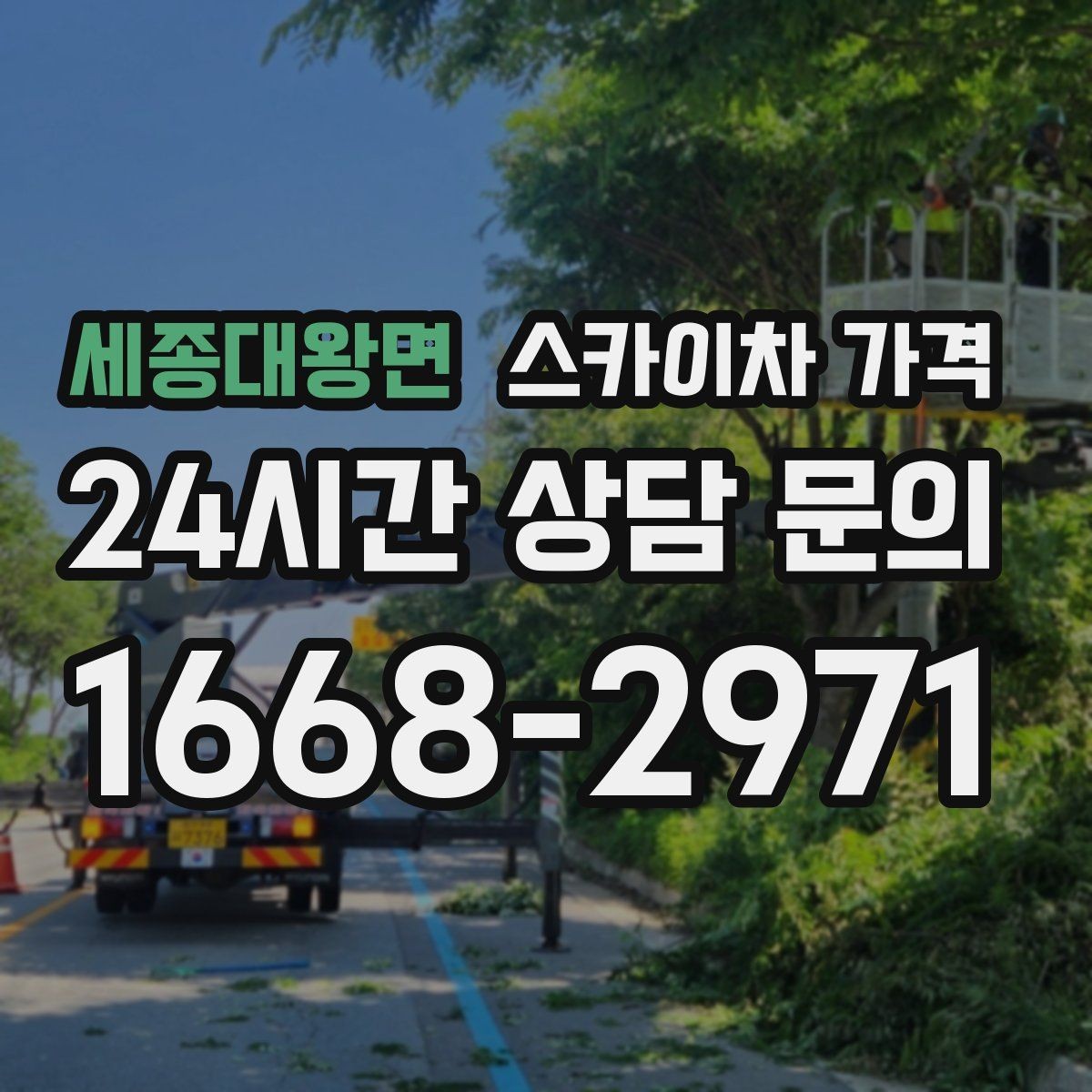 세종대왕면 스카이차 가격 주말 작업은 왜 예약이 유리할까