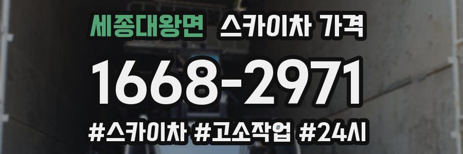 세종대왕면 스카이차 가격