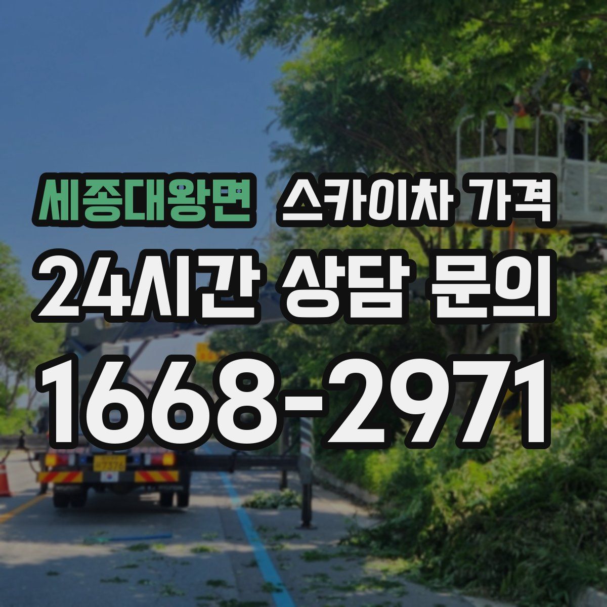 세종대왕면 스카이차 가격