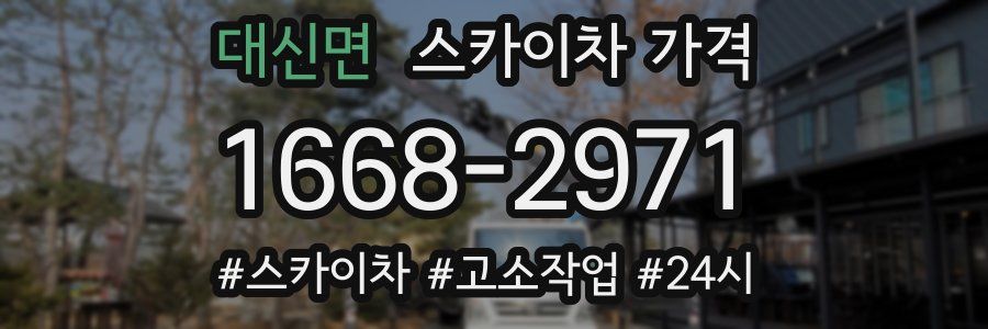 대신면 스카이차 가격